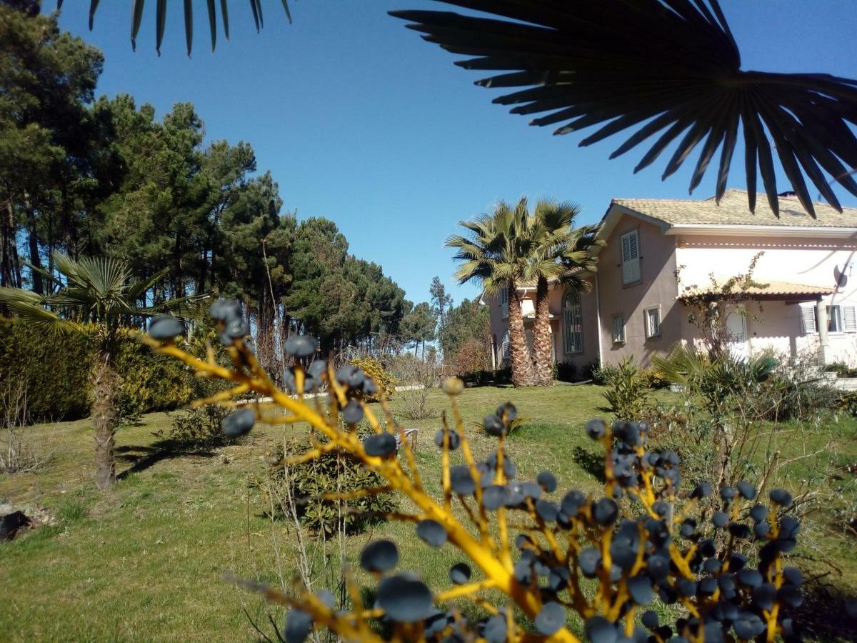 Casa Do Soito Hotel Mangualde Bagian luar foto